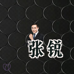张锐